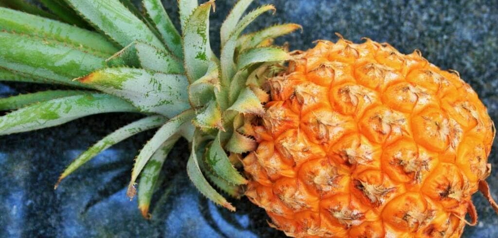 Pineapple supplement benefits for cancer patients and genetic risks