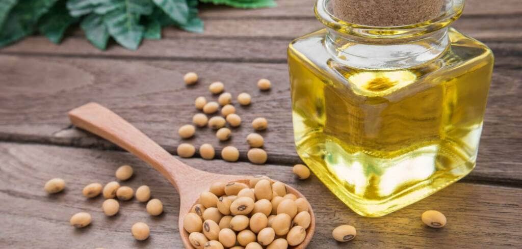 Soy Bean supplement benefits for cancer patients and genetic risks