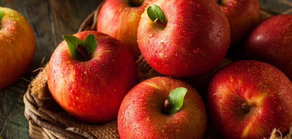Apple supplement benefits for cancer patients and genetic risks