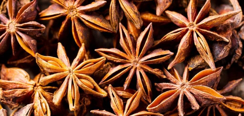 Star Anise supplement benefits for cancer patients and genetic risks