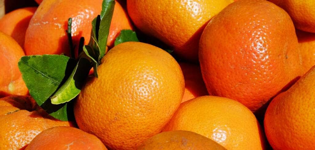 Tangerine supplement benefits for cancer patients and genetic risks