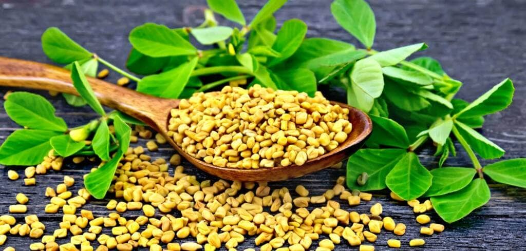  Fenugreek supplement benefits for cancer patients and genetic risks