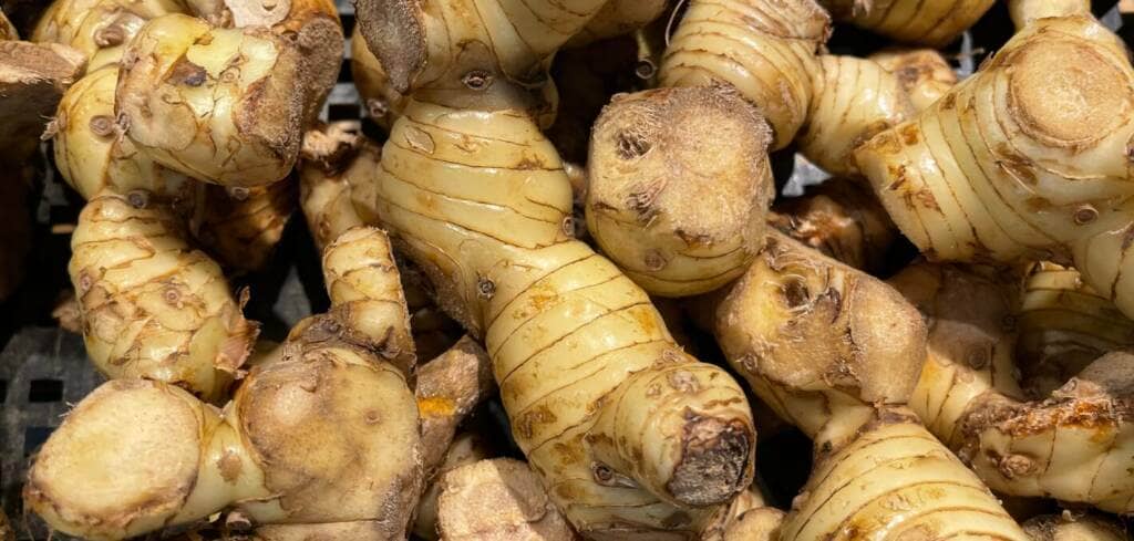 Galangal supplement benefits for cancer patients and genetic risks