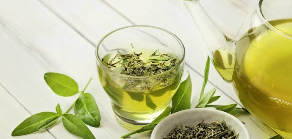Green Tea supplement benefits for cancer patients and genetic risks