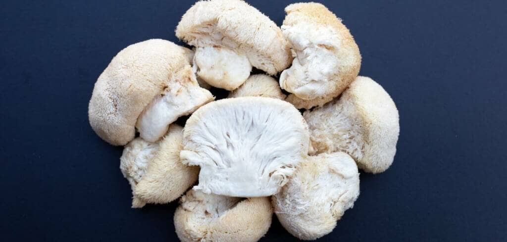 Lions Mane Mushroom supplement benefits for cancer patients and genetic risks