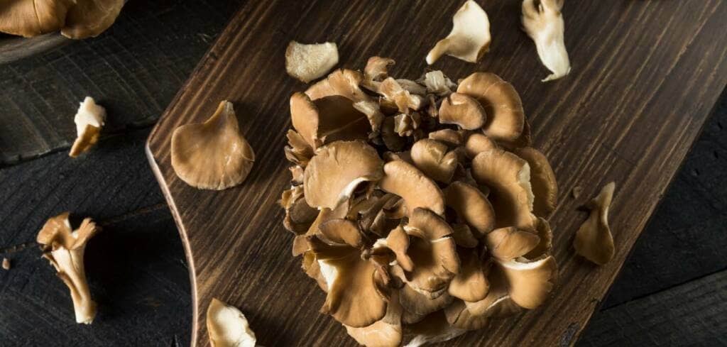 Maitake Mushroom supplement benefits for cancer patients and genetic risks