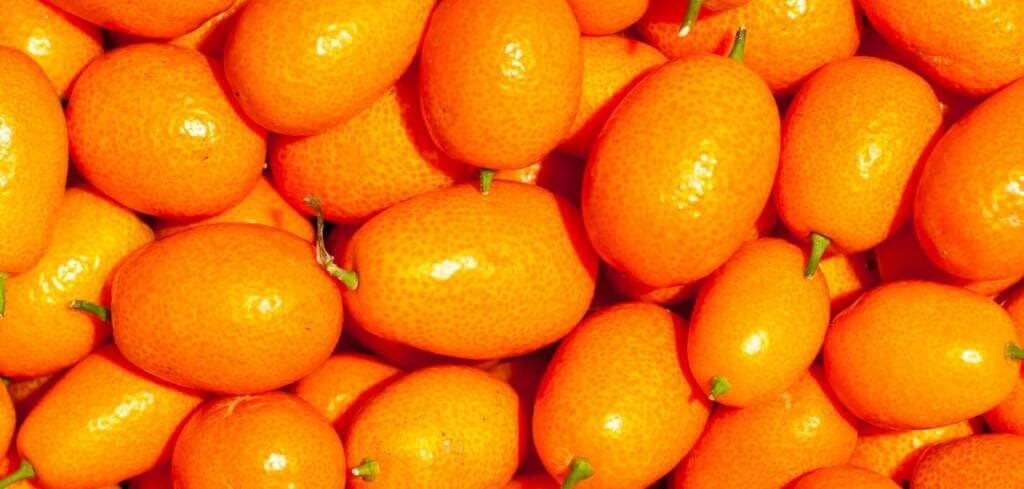 Modified Citrus Pectin supplement benefits for cancer patients and genetic risks