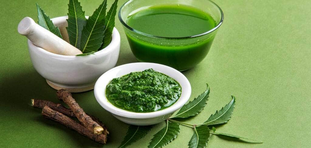 Neem Extract supplement benefits for cancer patients and genetic risks