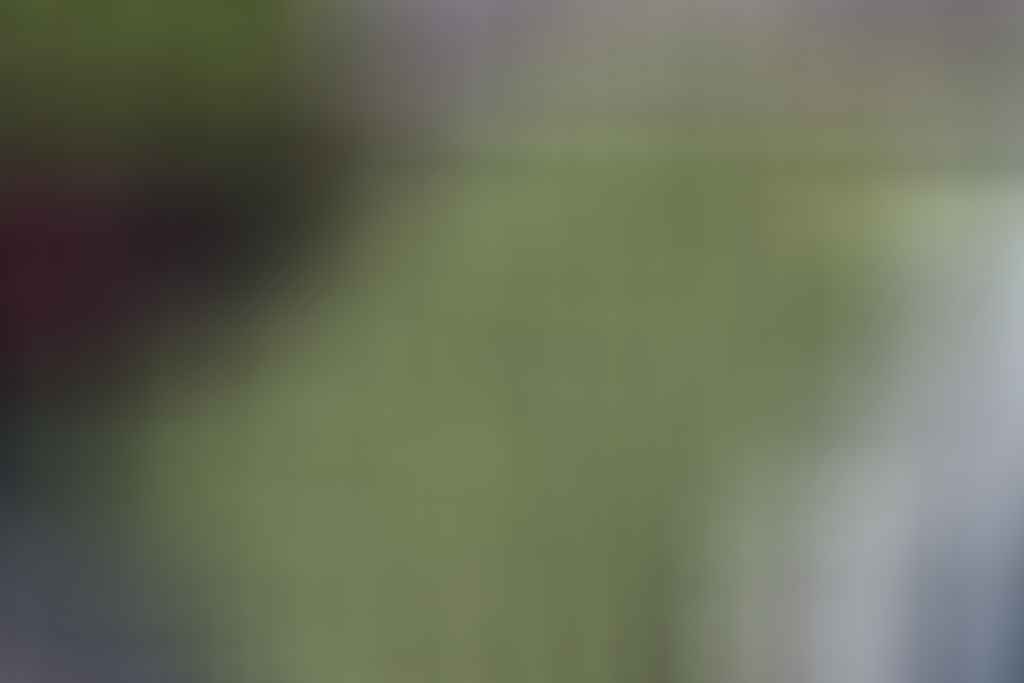 Hindi Kuyruk Mantarı takviyesinin kanser hastalarına faydaları ve genetik riskler