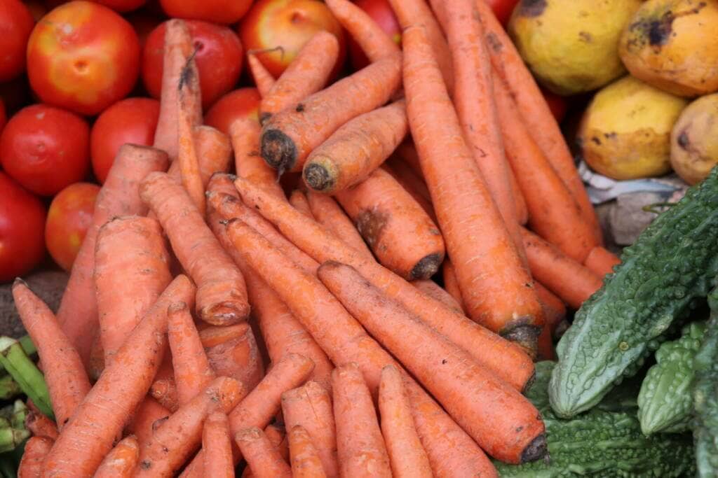 Carrot supplement benefits for cancer patients and genetic risks