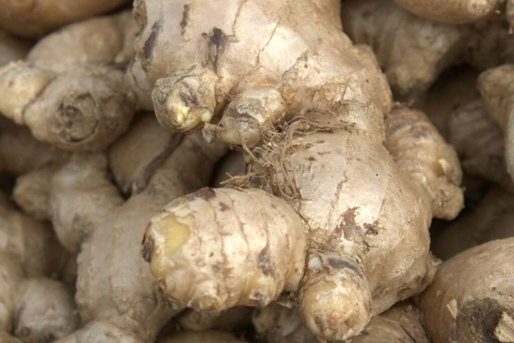 Ginger for Chemotherapy Induced Nausea & Vomiting