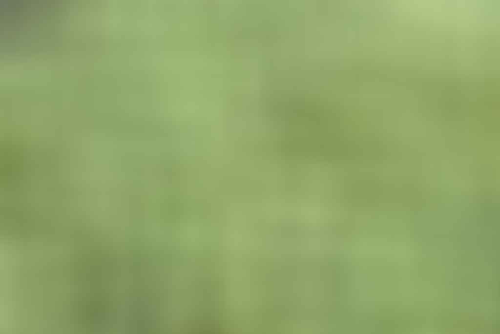 স্তন ক্যান্সারে বেঁচে যাওয়া রোগীদের হৃদরোগের ঝুঁকি বৃদ্ধি (দীর্ঘকালীন কেমোথেরাপি পার্শ্ব প্রতিক্রিয়া)