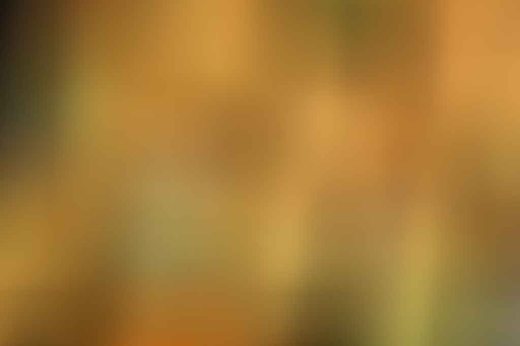 കീമോതെറാപ്പി പാർശ്വഫലങ്ങൾക്കുള്ള മഗ്നീഷ്യം സപ്ലിമെന്റ് ഉപയോഗം
